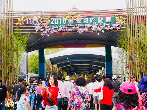 【台南逛逛】2018台灣國際蘭展在台南 ✿ 走進蘭花隧道夢幻仙境，一同聚首蘭亭