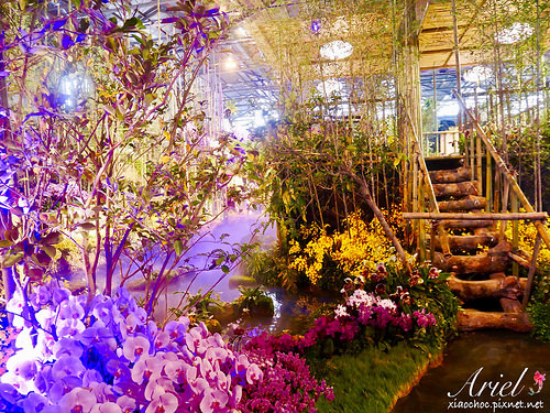 【台南逛逛】2018台灣國際蘭展在台南 ✿ 走進蘭花隧道夢幻仙境，一同聚首蘭亭