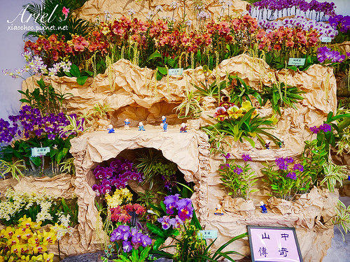 【台南逛逛】2018台灣國際蘭展在台南 ✿ 走進蘭花隧道夢幻仙境，一同聚首蘭亭