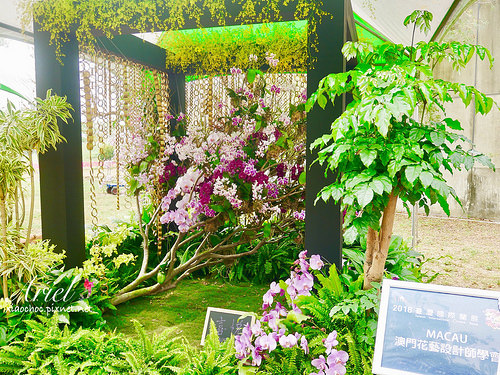 【台南逛逛】2018台灣國際蘭展在台南 ✿ 走進蘭花隧道夢幻仙境，一同聚首蘭亭