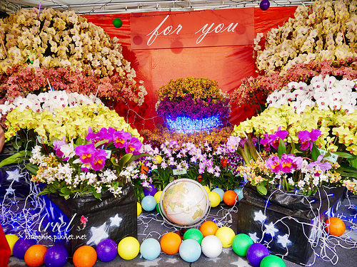 【台南逛逛】2018台灣國際蘭展在台南 ✿ 走進蘭花隧道夢幻仙境，一同聚首蘭亭