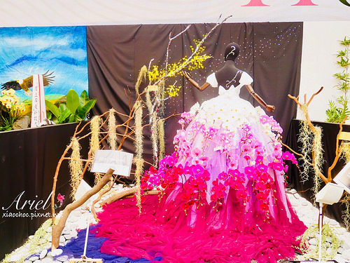 【台南逛逛】2018台灣國際蘭展在台南 ✿ 走進蘭花隧道夢幻仙境，一同聚首蘭亭