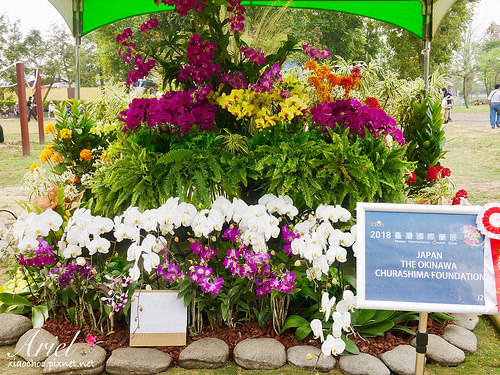 【台南逛逛】2018台灣國際蘭展在台南 ✿ 走進蘭花隧道夢幻仙境，一同聚首蘭亭