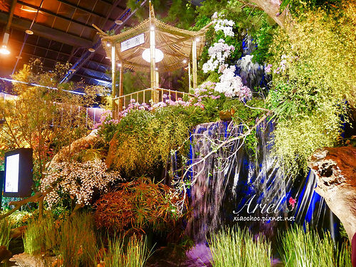 【台南逛逛】2018台灣國際蘭展在台南 ✿ 走進蘭花隧道夢幻仙境，一同聚首蘭亭