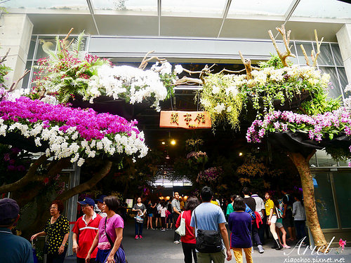 【台南逛逛】2018台灣國際蘭展在台南 ✿ 走進蘭花隧道夢幻仙境，一同聚首蘭亭