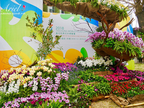 【台南逛逛】2018台灣國際蘭展在台南 ✿ 走進蘭花隧道夢幻仙境，一同聚首蘭亭