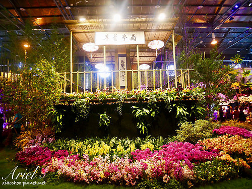 【台南逛逛】2018台灣國際蘭展在台南 ✿ 走進蘭花隧道夢幻仙境，一同聚首蘭亭