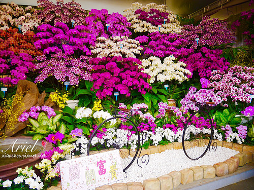 【台南逛逛】2018台灣國際蘭展在台南 ✿ 走進蘭花隧道夢幻仙境，一同聚首蘭亭