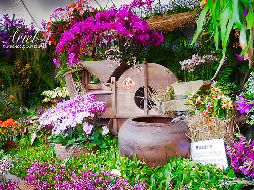 【台南逛逛】2018台灣國際蘭展在台南 ✿ 走進蘭花隧道夢幻仙境，一同聚首蘭亭
