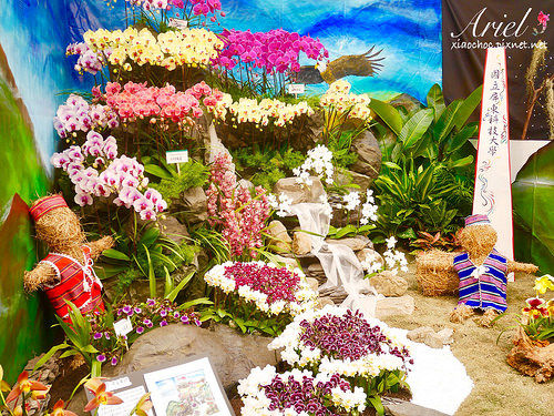 【台南逛逛】2018台灣國際蘭展在台南 ✿ 走進蘭花隧道夢幻仙境，一同聚首蘭亭