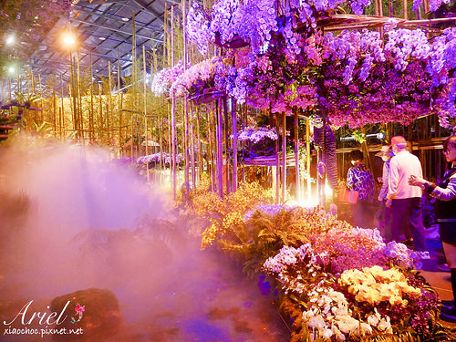 【台南逛逛】2018台灣國際蘭展在台南 ✿ 走進蘭花隧道夢幻仙境，一同聚首蘭亭