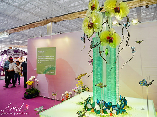 【台南逛逛】2018台灣國際蘭展在台南 ✿ 走進蘭花隧道夢幻仙境，一同聚首蘭亭