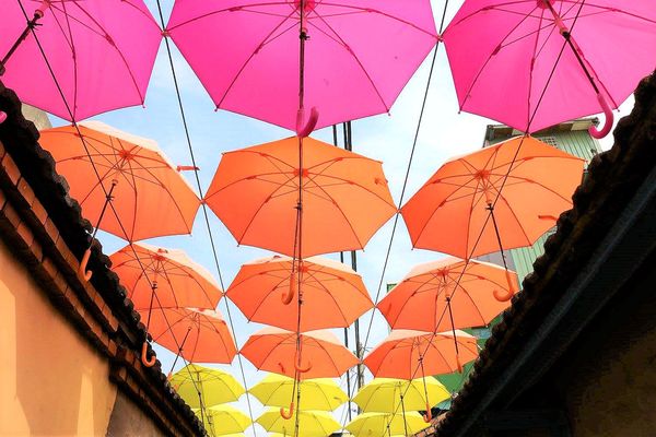 彩虹屋Rainbow House-卡里善之樹：【彰化景點】彩虹屋RAINBOW HOUSE~卡里善之樹/彩虹傘巷一起為愛撐傘/文青路線的拍攝風格/親子雨具販售/彩繪體驗/展館導覽