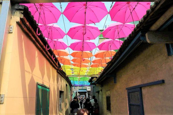 彩虹屋Rainbow House-卡里善之樹：【彰化景點】彩虹屋RAINBOW HOUSE~卡里善之樹/彩虹傘巷一起為愛撐傘/文青路線的拍攝風格/親子雨具販售/彩繪體驗/展館導覽