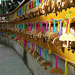 彩虹屋_170330_0020