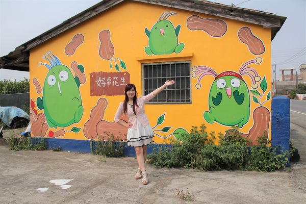 台灣原創插畫彩繪村：【嘉義景點】台灣原創插畫彩繪村~五大主題好事花生、求子順利、孕子平安、育子健康、望子成龍/奇可奇卡集結台灣80位插畫家/繪製多種風格的原創插圖實在好逗趣
