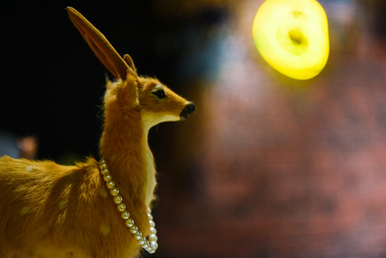 蘑菇pasta:台中龍井區美食-東海商圈高cp值平價美義式料理,首推舒芙蕾厚鬆餅,還有各式主題打卡牆化身為網美!