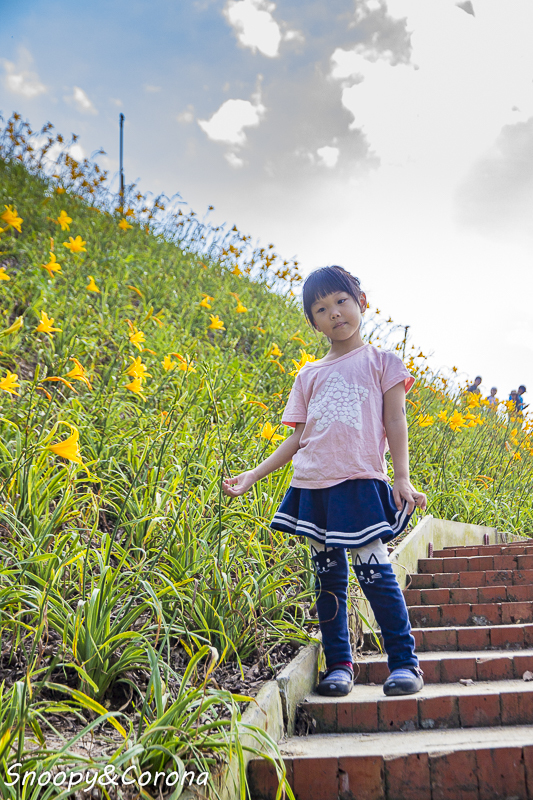 【玩樂.彰化】彰化賞花景點/彰化花壇虎山巖金針花海~不必到花蓮六十石山,彰化花壇也有美麗金針花海