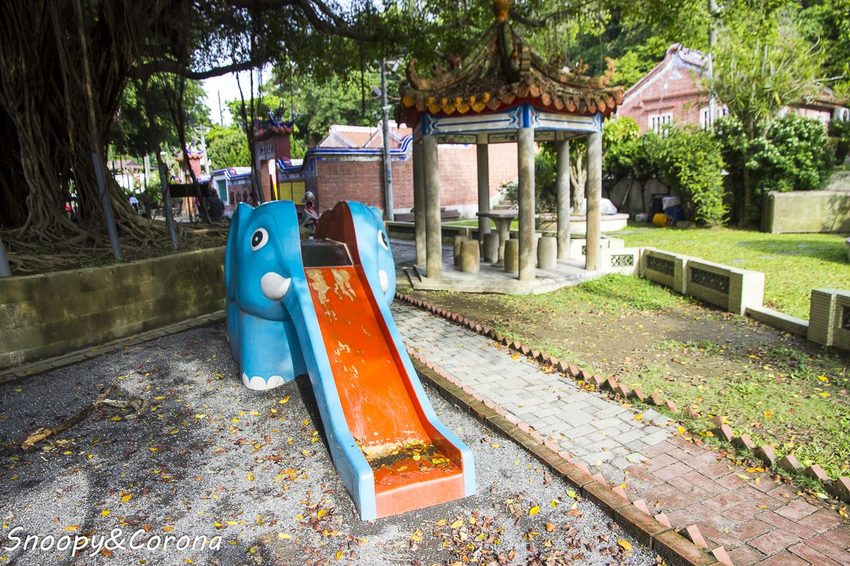 【玩樂.彰化】彰化賞花景點/彰化花壇虎山巖金針花海~不必到花蓮六十石山,彰化花壇也有美麗金針花海