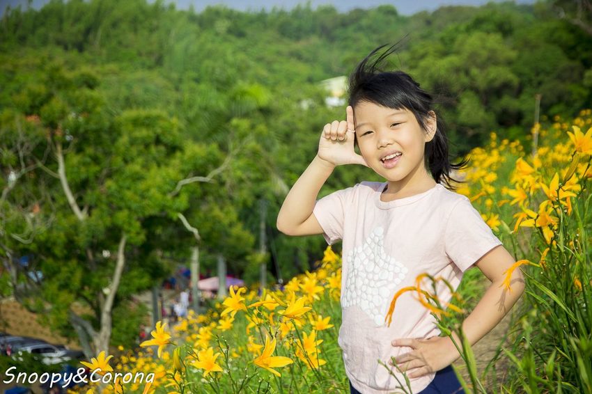 【玩樂.彰化】彰化賞花景點/彰化花壇虎山巖金針花海~不必到花蓮六十石山,彰化花壇也有美麗金針花海