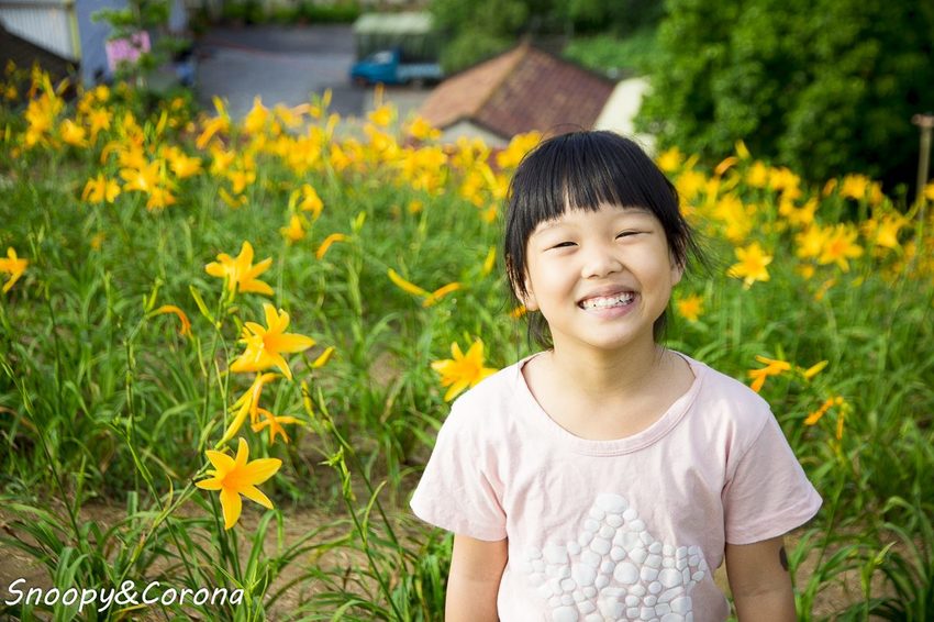 【玩樂.彰化】彰化賞花景點/彰化花壇虎山巖金針花海~不必到花蓮六十石山,彰化花壇也有美麗金針花海
