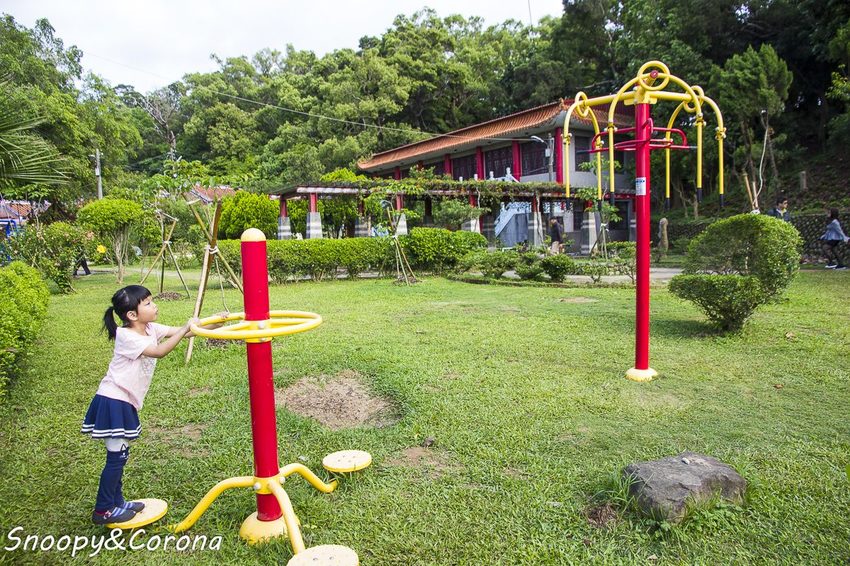 【玩樂.彰化】彰化賞花景點/彰化花壇虎山巖金針花海~不必到花蓮六十石山,彰化花壇也有美麗金針花海