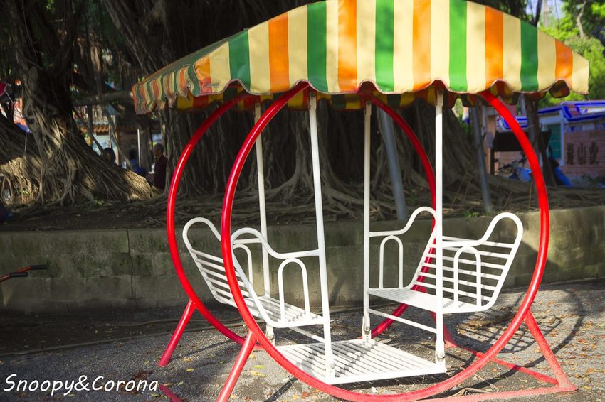 【玩樂.彰化】彰化賞花景點/彰化花壇虎山巖金針花海~不必到花蓮六十石山,彰化花壇也有美麗金針花海