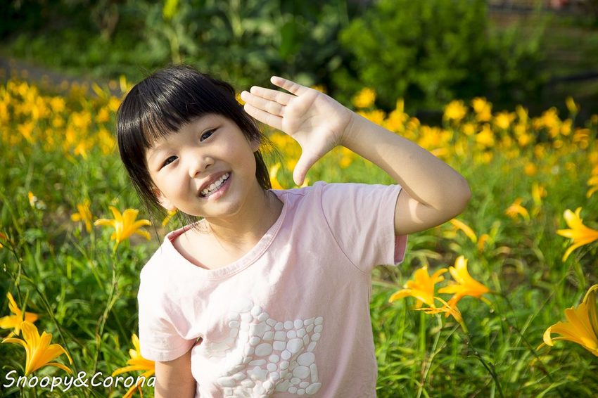 【玩樂.彰化】彰化賞花景點/彰化花壇虎山巖金針花海~不必到花蓮六十石山,彰化花壇也有美麗金針花海