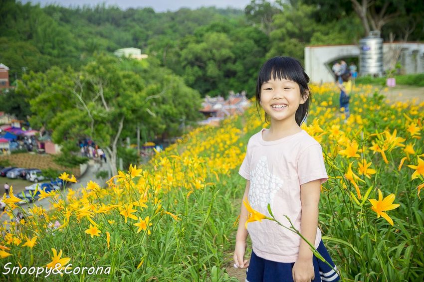 【玩樂.彰化】彰化賞花景點/彰化花壇虎山巖金針花海~不必到花蓮六十石山,彰化花壇也有美麗金針花海