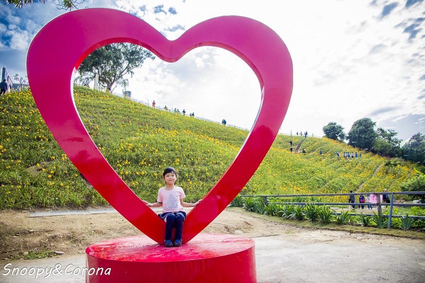 【玩樂.彰化】彰化賞花景點/彰化花壇虎山巖金針花海~不必到花蓮六十石山,彰化花壇也有美麗金針花海