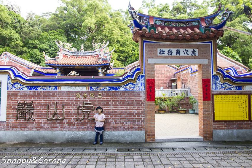 【玩樂.彰化】彰化賞花景點/彰化花壇虎山巖金針花海~不必到花蓮六十石山,彰化花壇也有美麗金針花海