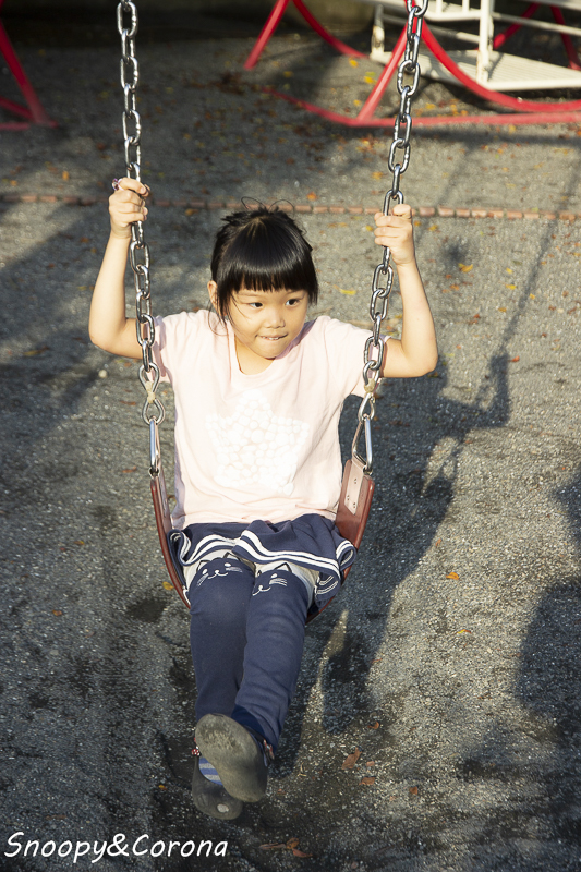 【玩樂.彰化】彰化賞花景點/彰化花壇虎山巖金針花海~不必到花蓮六十石山,彰化花壇也有美麗金針花海