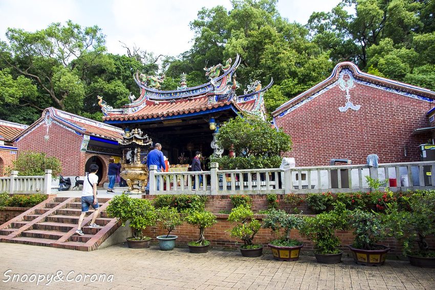 【玩樂.彰化】彰化賞花景點/彰化花壇虎山巖金針花海~不必到花蓮六十石山,彰化花壇也有美麗金針花海