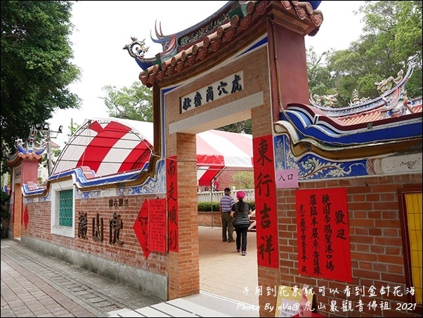 虎山巖金針花-06.jpg