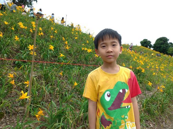 彰化也有大片金針花海~花壇虎山巖金針花季!賞花不必跑到花東啦