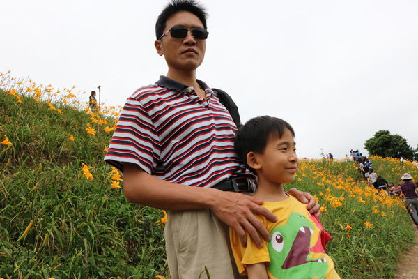 彰化也有大片金針花海~花壇虎山巖金針花季!賞花不必跑到花東啦