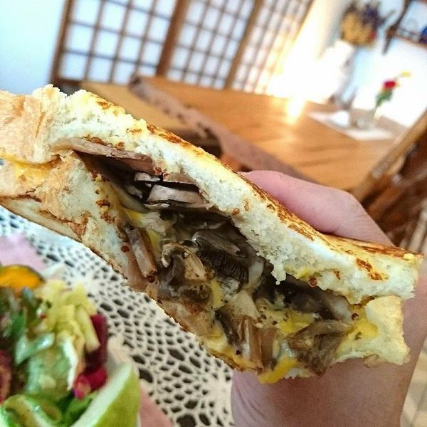 23843560_1698981453466870_4795165557678010688_n