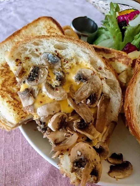 23915783_1698981696800179_8976130241723096243_n