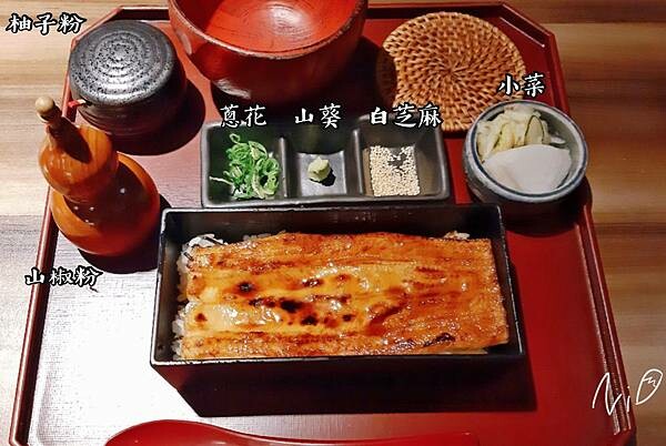 190824 日本橋玉井