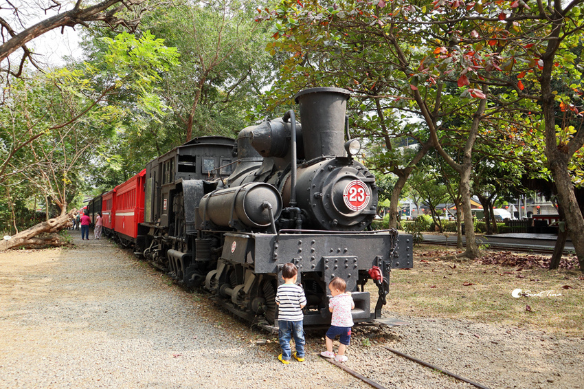 阿里山鐵道車庫園區