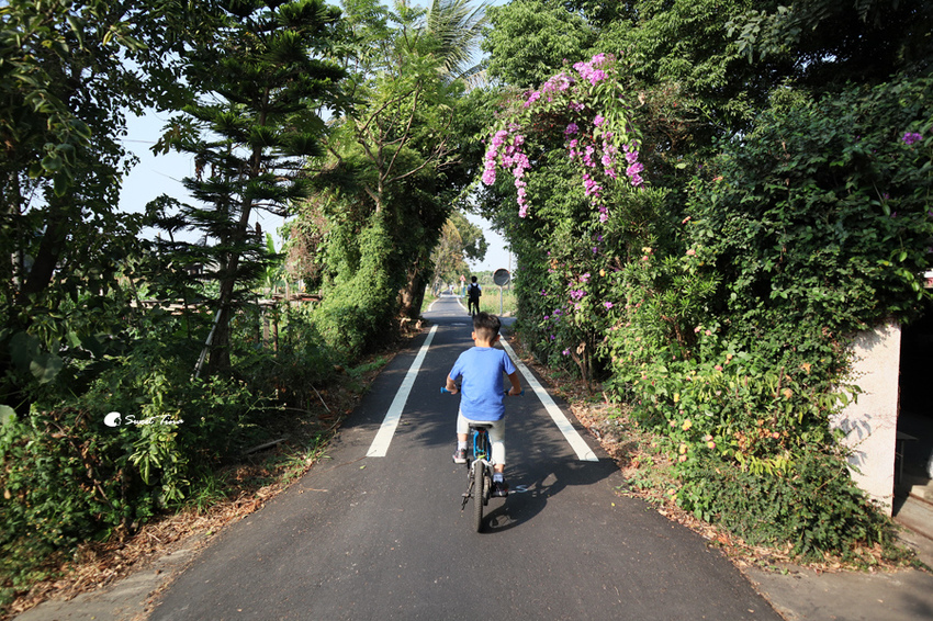 朴子溪自行車道