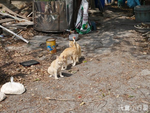 朴子溪自行車道9.JPG 朴子溪自行車道9.JPG