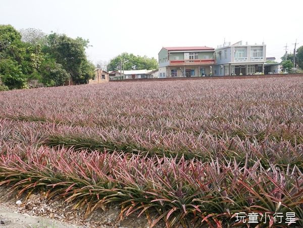 朴子溪自行車道4.JPG 朴子溪自行車道4.JPG