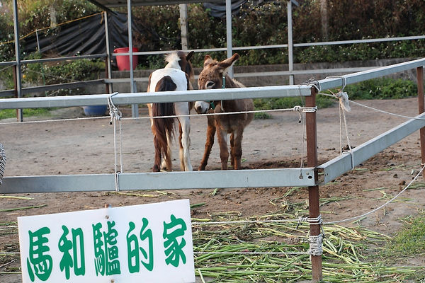 IMG_3521.jpg IMG_3521.jpg