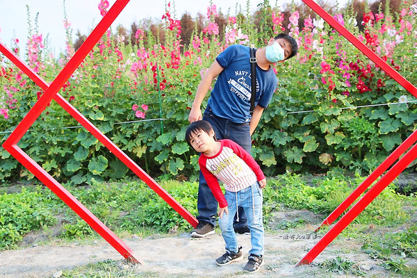 IMG_3495.jpg IMG_3495.jpg