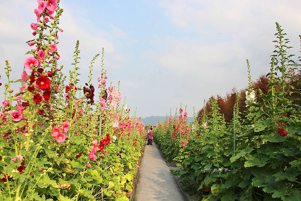 IMG_3383.jpg IMG_3383.jpg