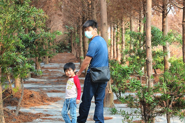 IMG_3337.jpg IMG_3337.jpg