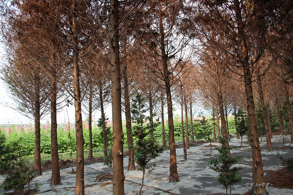 IMG_3342.jpg IMG_3342.jpg