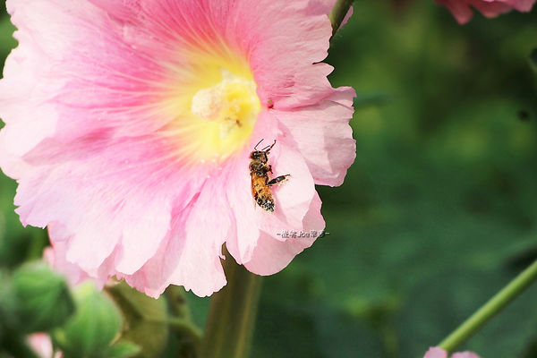 IMG_3389.jpg IMG_3389.jpg