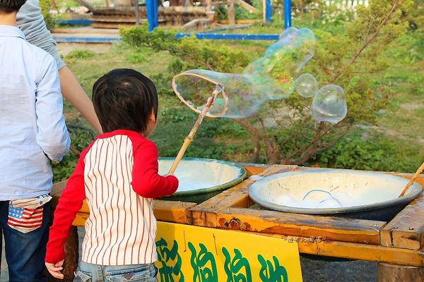 IMG_3466.jpg IMG_3466.jpg